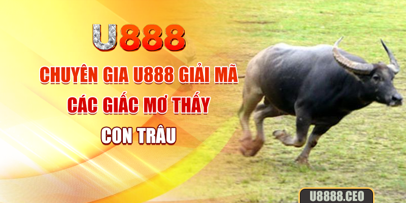 Chuyên gia U888 giải mã các giấc mơ thấy con trâu