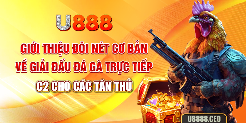 Giới thiệu đôi nét cơ bản về giải đấu đá gà trực tiếp C2 cho các tân thủ