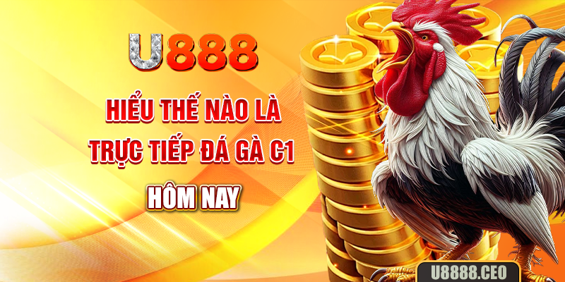 Hiểu thế nào là trực tiếp đá gà C1 hôm nay